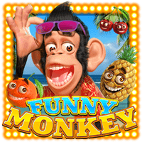 Funny Monkey